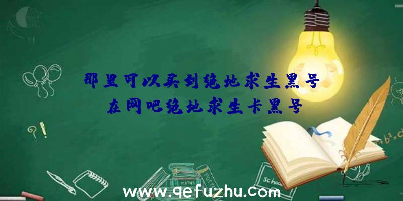 「那里可以买到绝地求生黑号」|在网吧绝地求生卡黑号